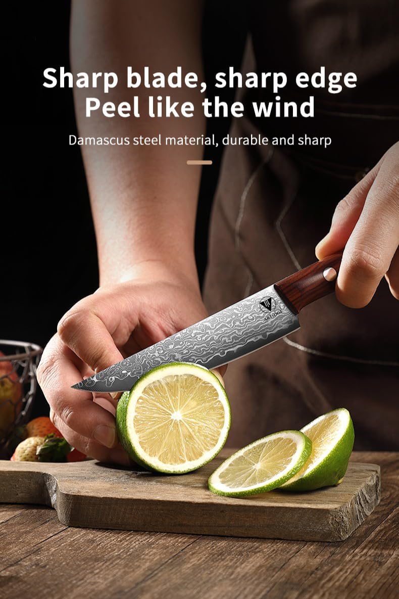 ARTIDGE 4.7" Paring Knife Damascus Steel Fruit Knives - 67-Layer Forged Kitchen Peeling Knife with Natural Solid Wood Handle Kitchen Utility Knives, 15° Double-Edged Blade, Ultra-Sharp & Durable - Image 3